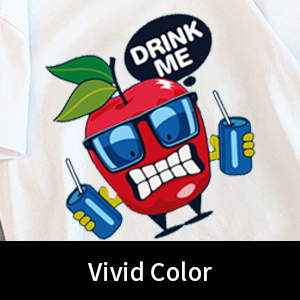 A4 / A3 DTF Film drukarski Cold Peel 75U Grubość PET Release Film Nieprzylepny 2