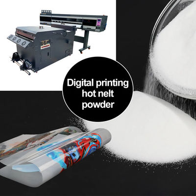 Próż DTF 1 kg biały, gorąco rozpuszczalny proszek do DTF Shaking Machine DTF Oven