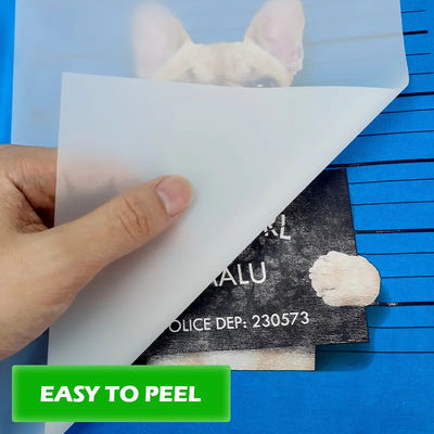 Maksymalnie zwiększ potencjał druku z materiałami drukowanymi DTF 30cm*100m 75U Release Pet Film Roll Double-sided Cold Peel