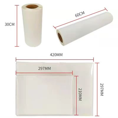 Film DTF Hot Peel Double Matte 30cm*100m Instant Peel film do druku atramentu białego