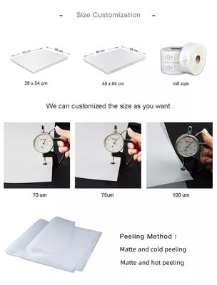 Film do druku offsetowego silikonowego 100 μm Glossy 50*70cm PET Release Film Do druku ekranowego
